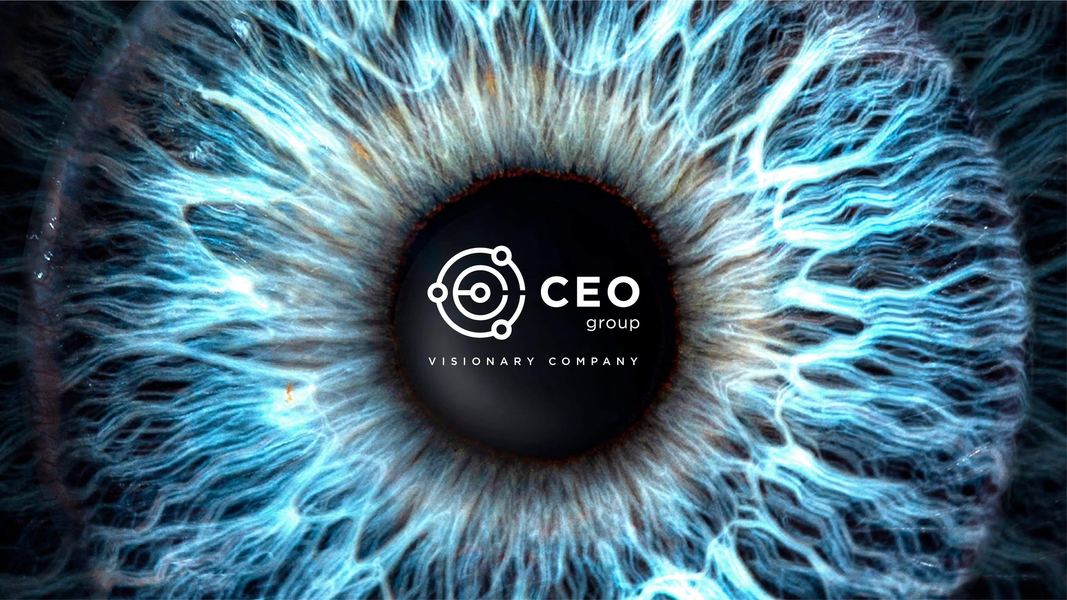 CEO Group sectors